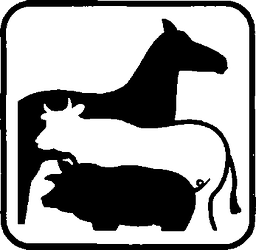 Fig. II 193 — CAMPO BOARIO