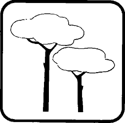 Fig. II 211 — PINETA