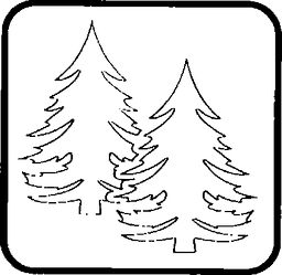 Fig. II 213 — FORESTA
