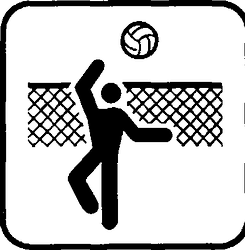 Fig. II 220 — PALLAVOLO