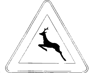 Fig. II 25 — ANIMALI SELVATICI VAGANTI