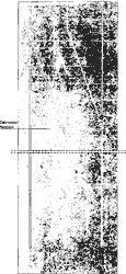 Fig. II 393/b — BARRIERA DIREZIONALE